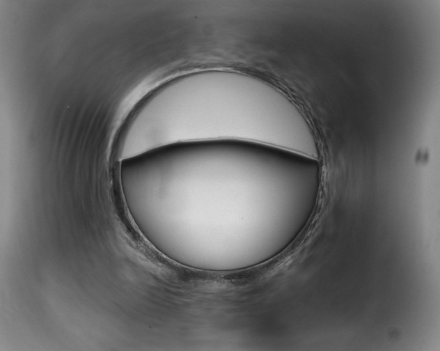 X0000116010246200911191244