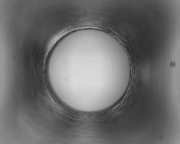 X0000116010248200911191244