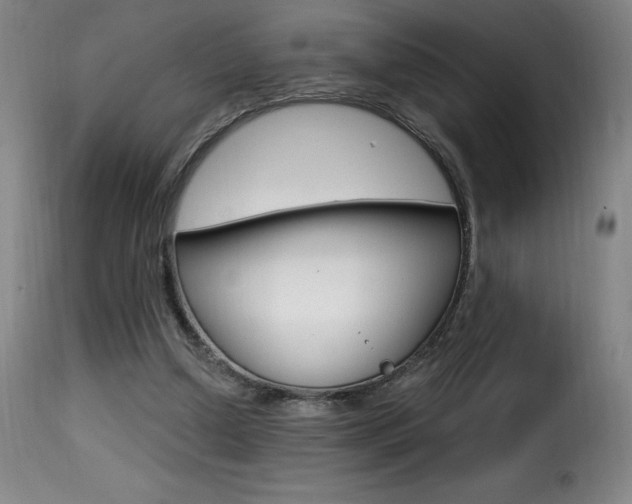 X0000116010250200911191244