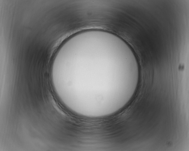 X0000116010252200911191244