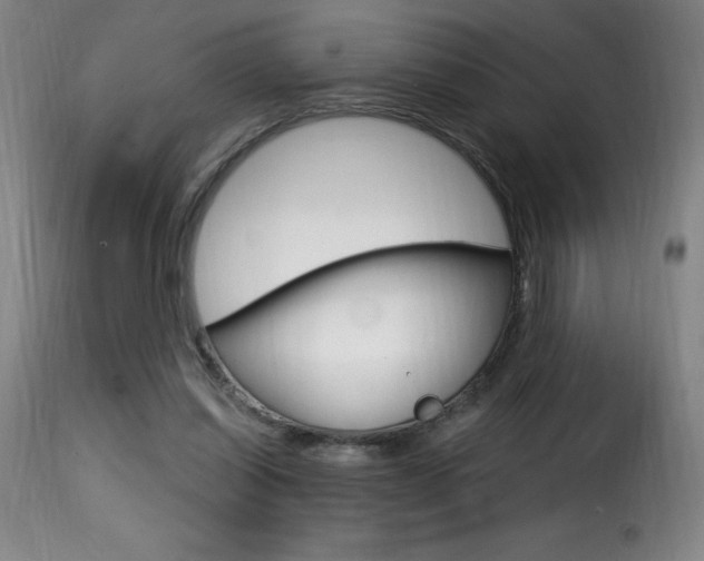 X0000116010254200911191244
