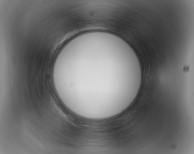 X0000116010256200911191244