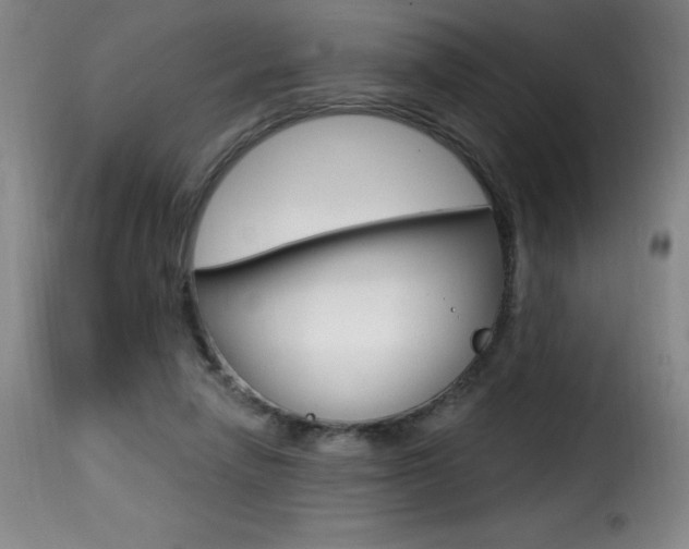 X0000116010258200911191244