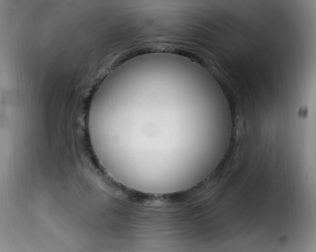 X0000116010259200911191244