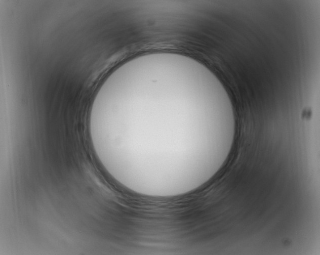 X0000116010260200911191244