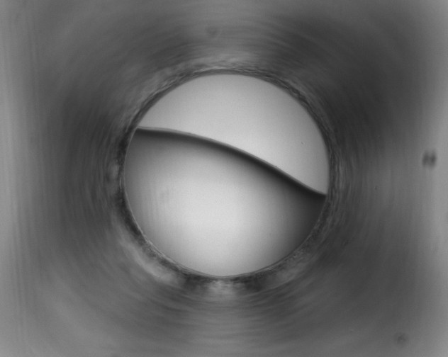 X0000116010261200911191244