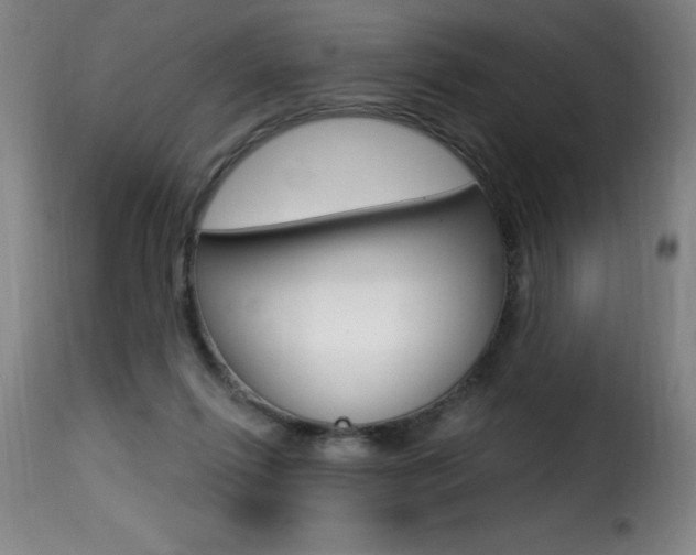 X0000116010262200911191245