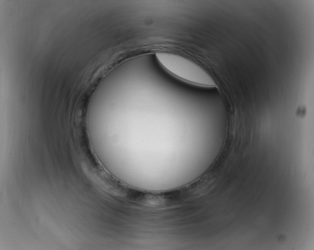 X0000116010263200911191245