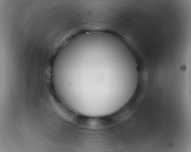 X0000116010264200911191245