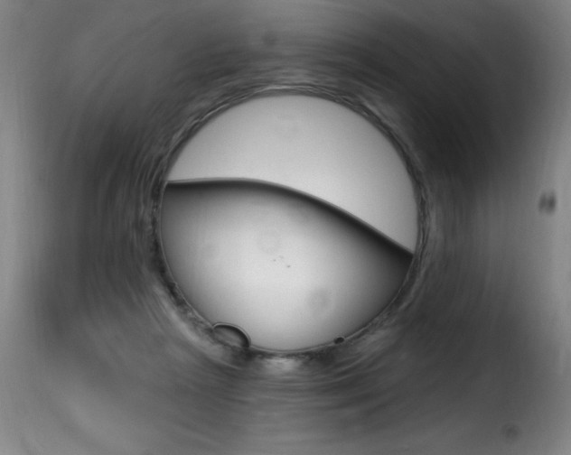 X0000116010265200911191245