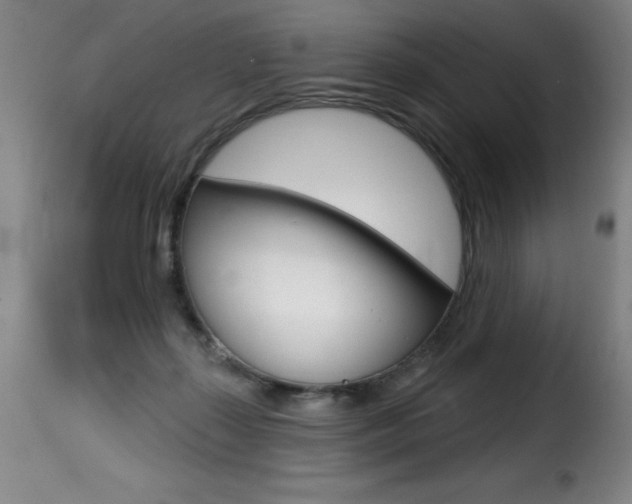 X0000116010267200911191245