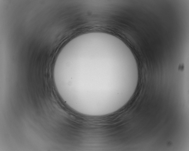 X0000116010268200911191245