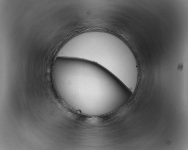 X0000116010269200911191245