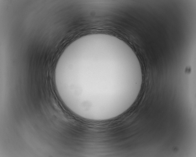 X0000116010272200911191245