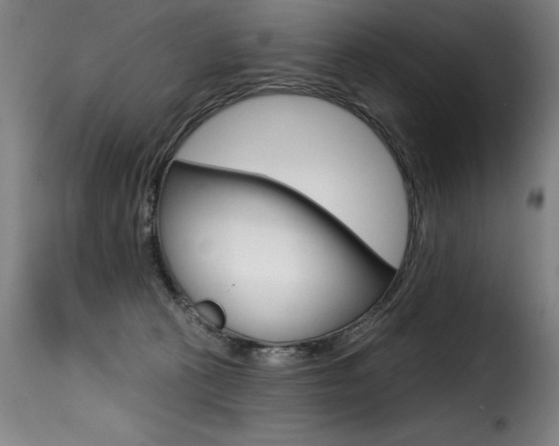 X0000116010273200911191245