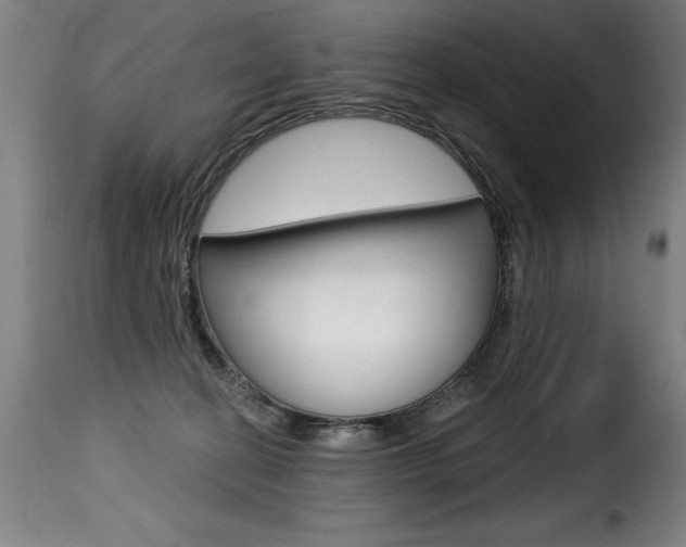 X0000116010274200911191245