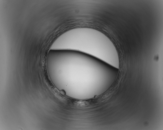 X0000116010277200911191245