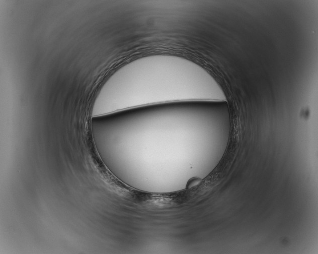 X0000116010278200911191245