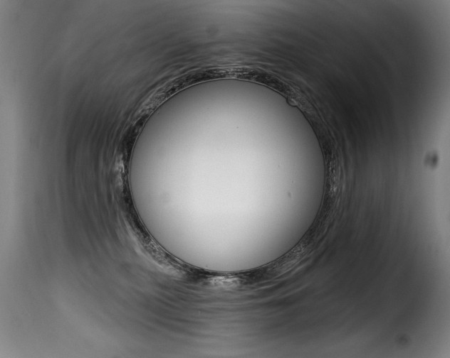 X0000116010279200911191245