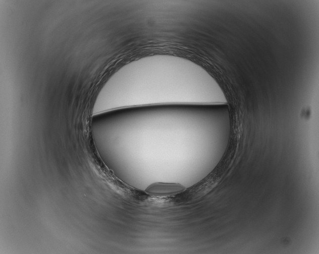 X0000116010280200911191245