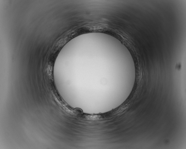 X0000116010281200911191245