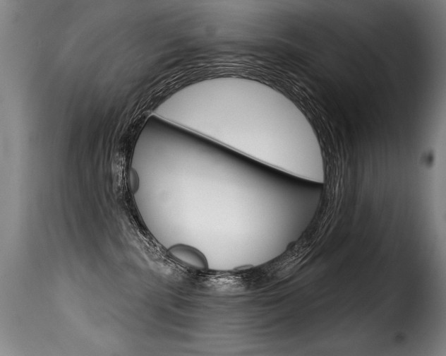 X0000116010283200911191245