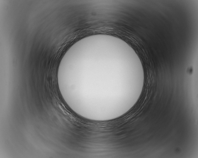 X0000116010284200911191245