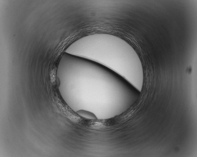 X0000116010285200911191245