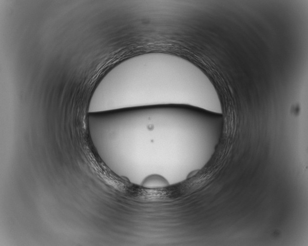 X0000116010286200911191245