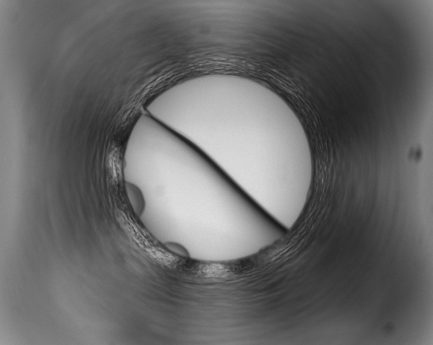 X0000116010287200911191245