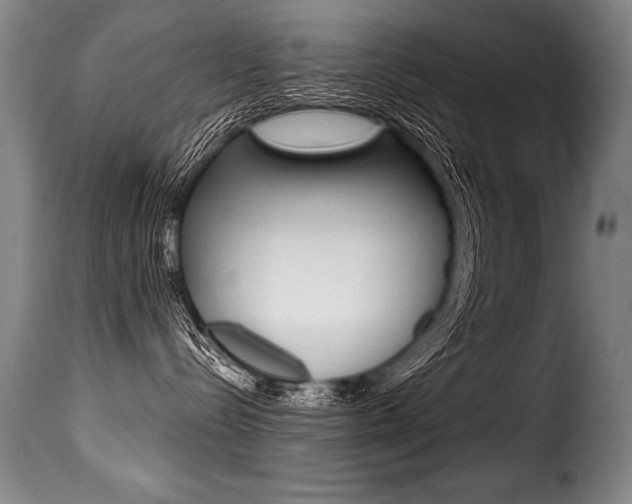 X0000116010288200911191245
