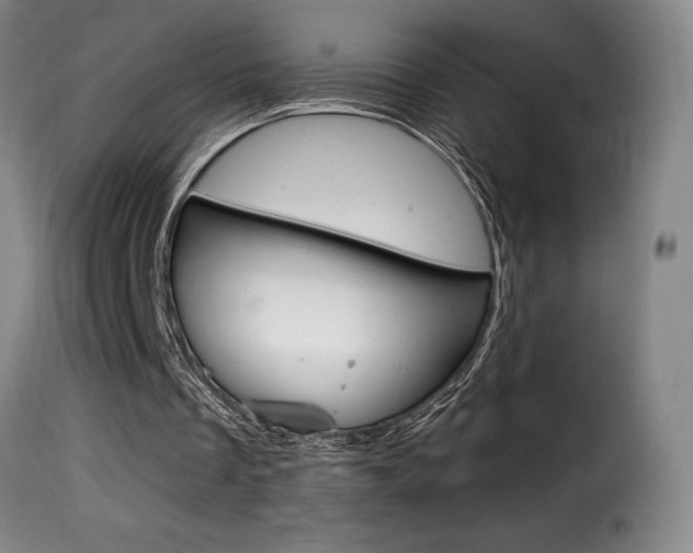 X0000116010289200911191244