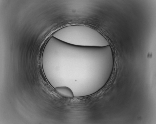 X0000116010290200911191244