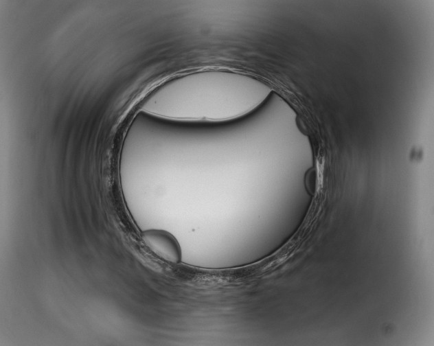 X0000116010291200911191244