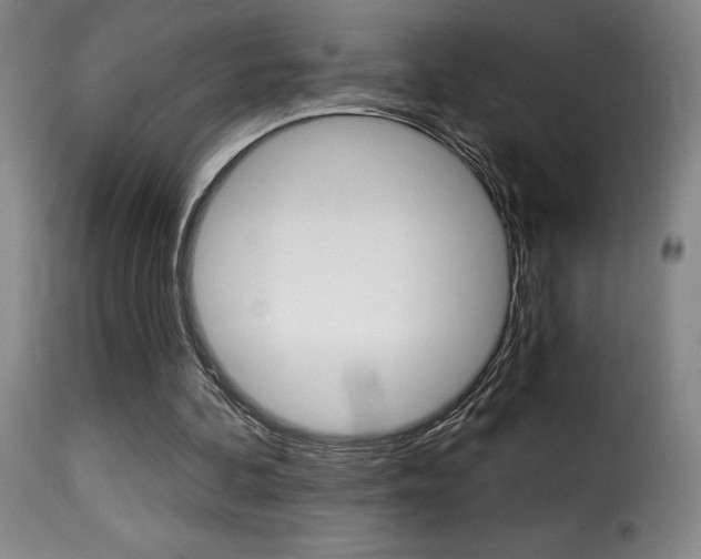 X0000116010292200911191244