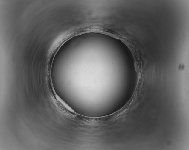 X0000116010293200911191244