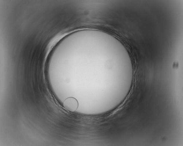 X0000116010294200911191244