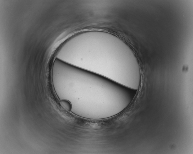 X0000116010295200911191244