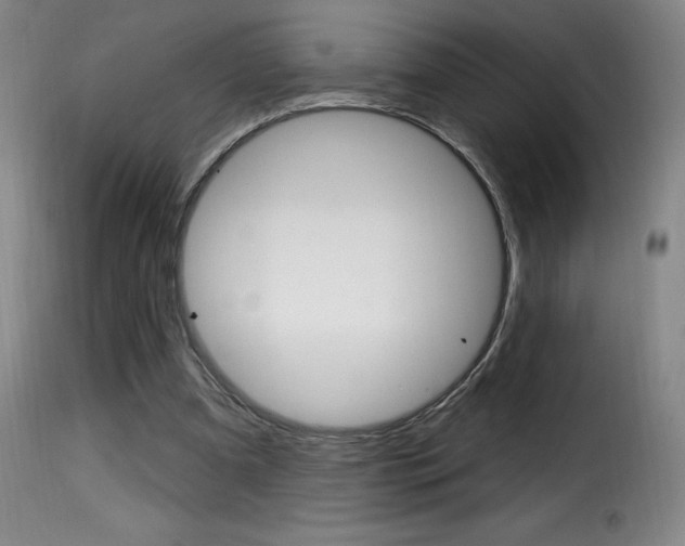 X0000116010297200911191244
