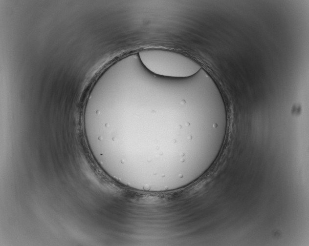 X0000116010298200911191244