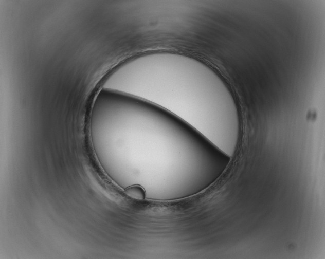 X0000116010299200911191244