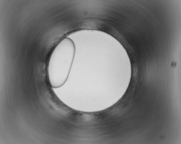 X0000116010302200911191244