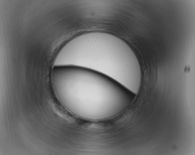 X0000116010303200911191244