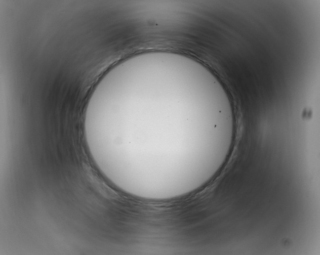 X0000116010305200911191244