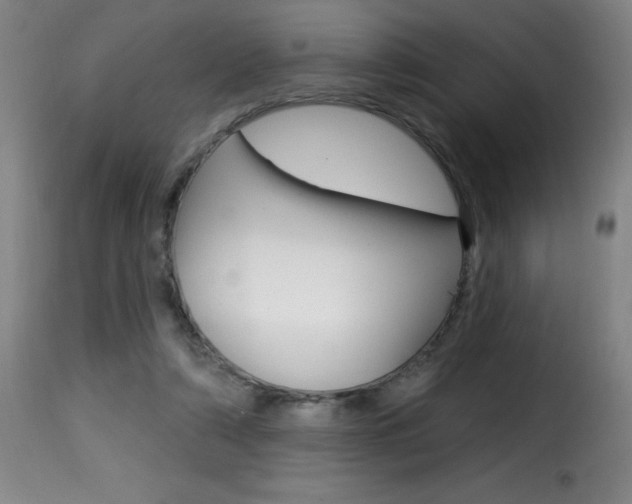X0000116010306200911191244