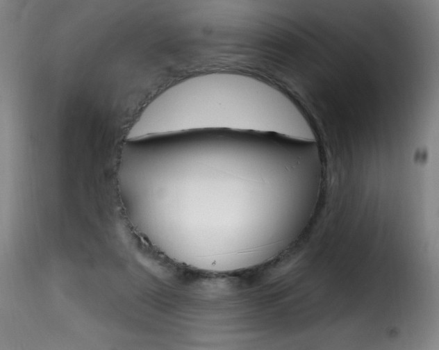 X0000116010307200911191244