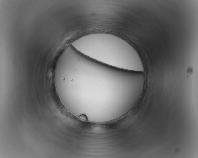 X0000116010308200911191244