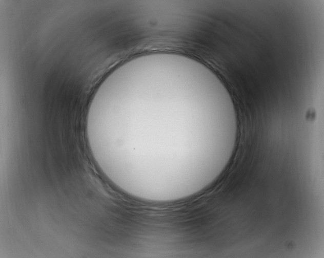 X0000116010309200911191244