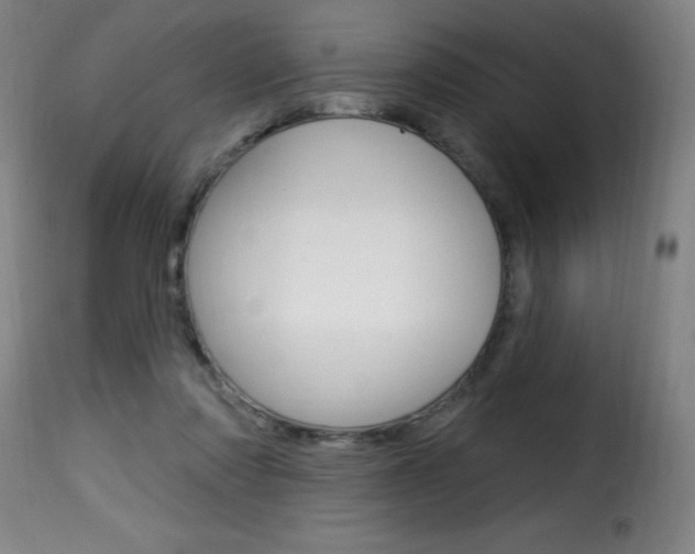 X0000116010310200911191244