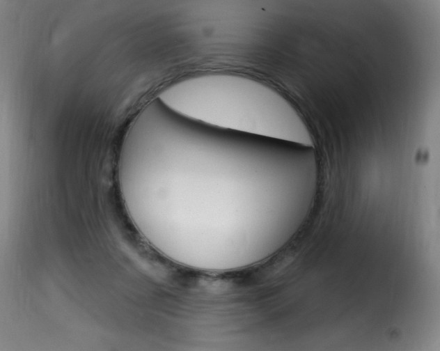 X0000116010311200911191244